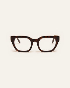 Kiara Turtle Brown Readers