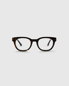 Jamie Turtle Brown Readers