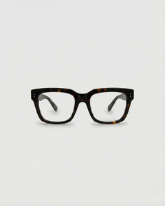 Noel Turtle Brown Blue Light