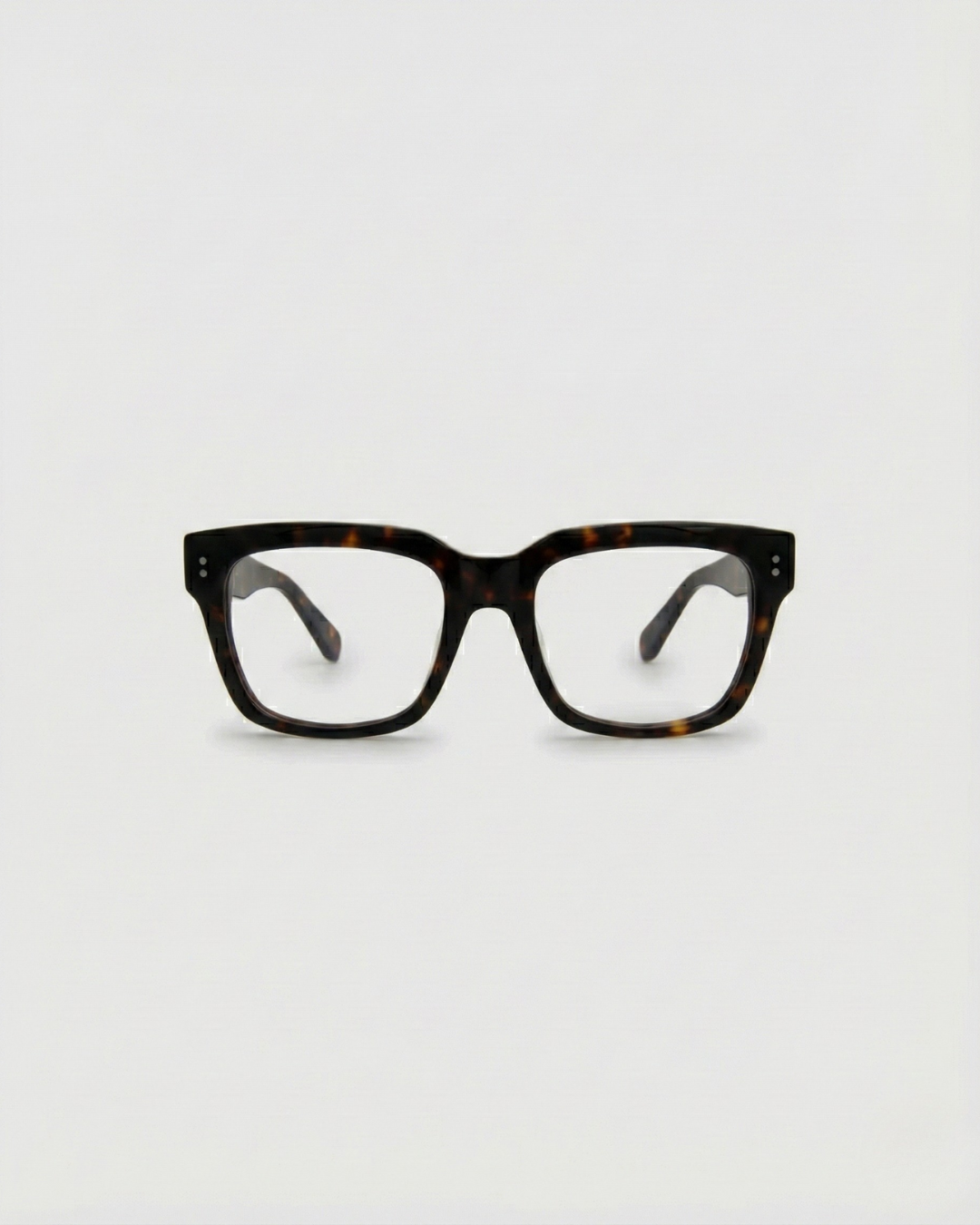 Noel Turtle Brown Blue Light