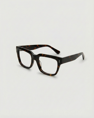 Noel Turtle Brown Readers