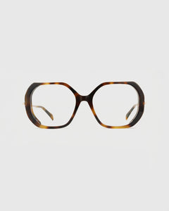 Celeste Turtle Brown Readers