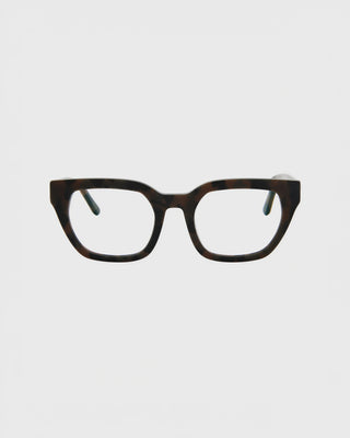 Kiara Turtle Brown Readers